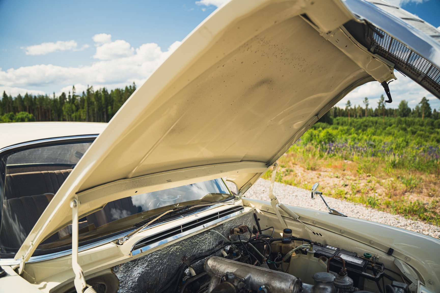 Image of 1966 Mercedes-Benz 200 D "Heckflosse" mechanics