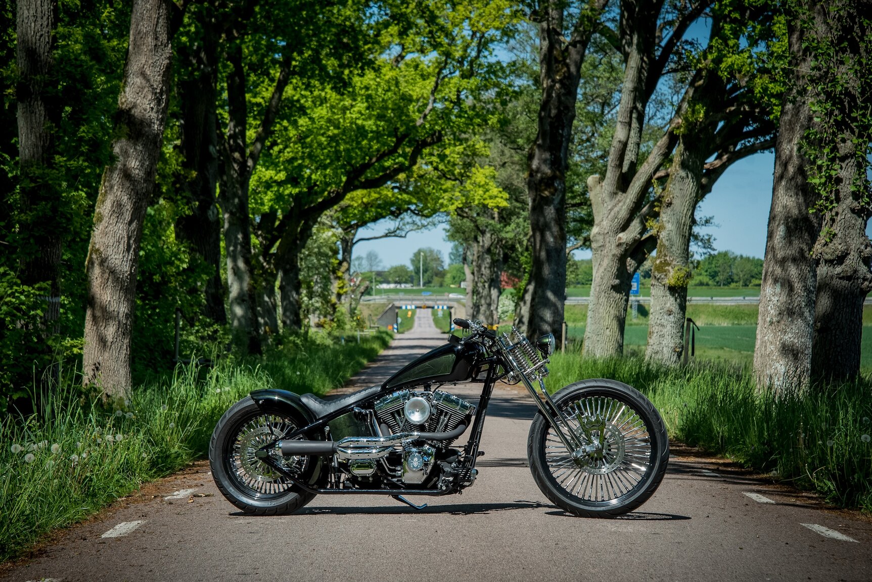 Exterior image of 2024 P91 Customs Fat Bobber