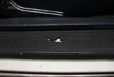 #<Image:0x00007f89dfe90780>