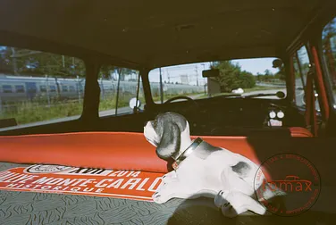 #<Image:0x00007fa8a1263e90>