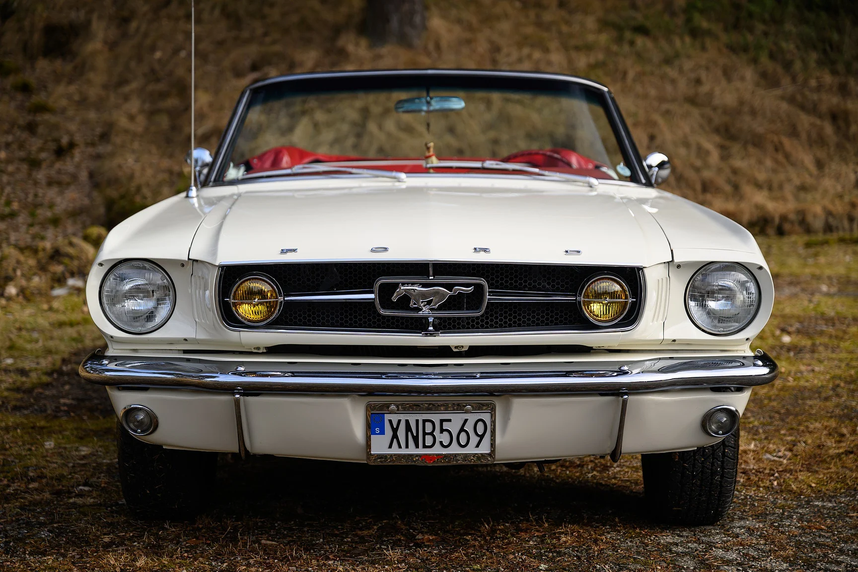 Exterior image of 1965 Ford Mustang GT Convertible (17)