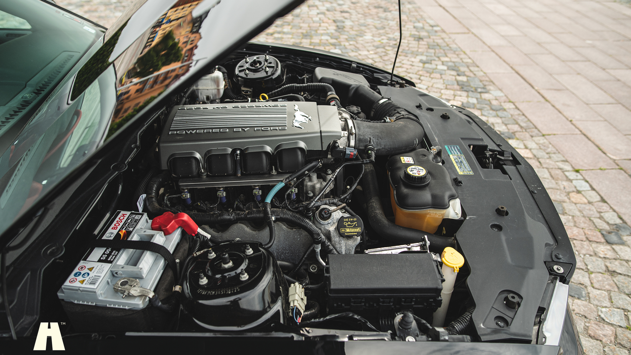 Image of 2010 Ford Mustang GT  mechanics