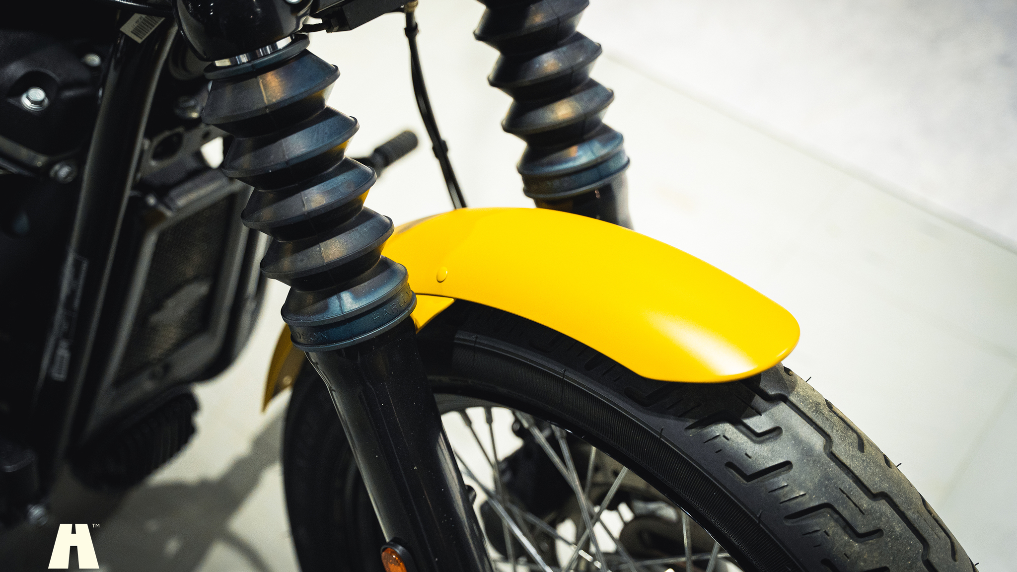 Aussenfoto 2019 Harley-Davidson Street BOB