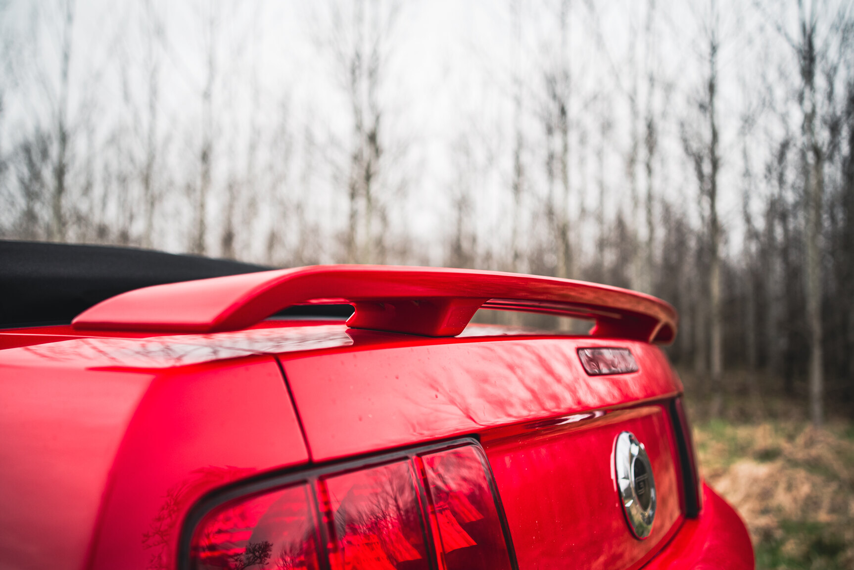 Exterior image of 2009 Ford Mustang V8 GT Convertible