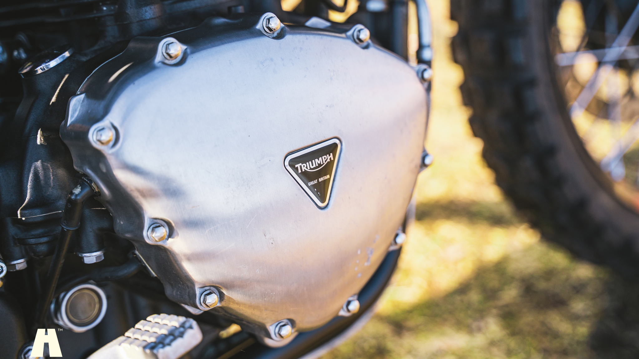 Image of 2010 Triumph Bonneville T100 "Scrambler" mechanics (13)