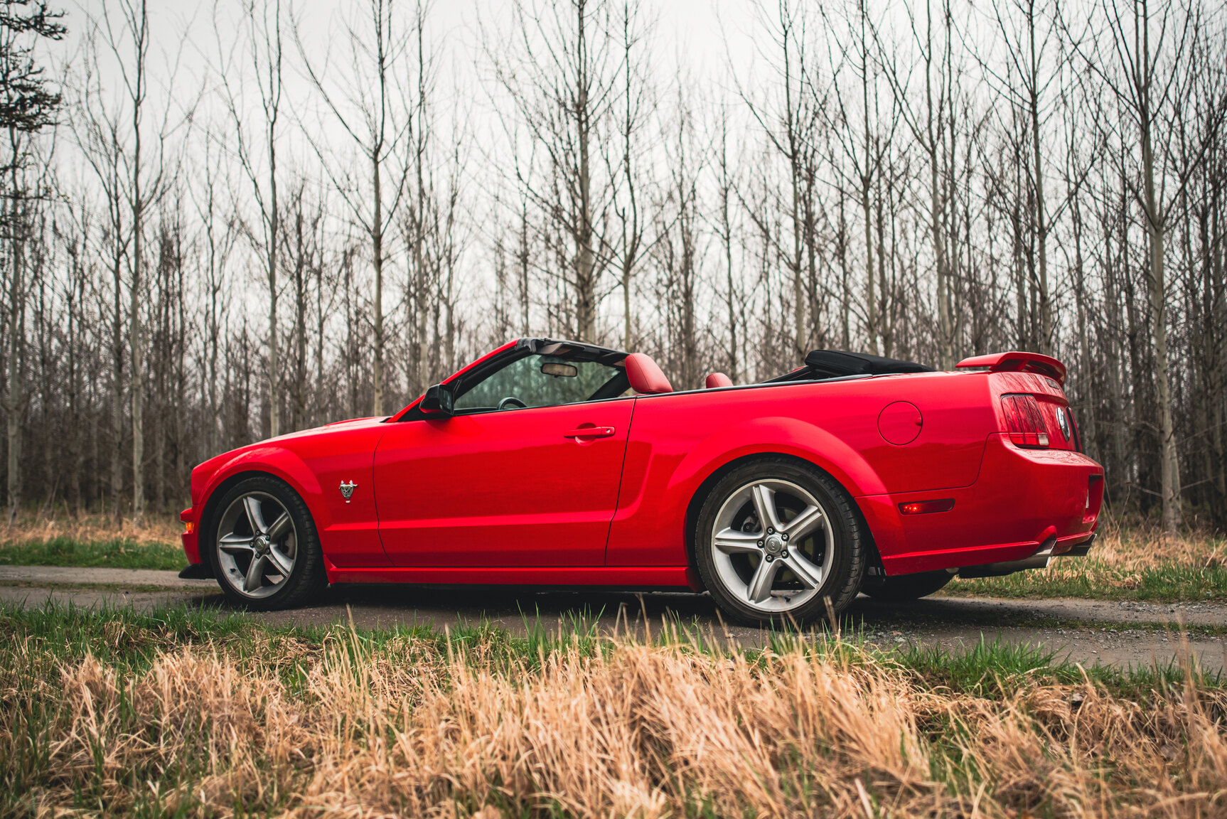 Exterior image of 2009 Ford Mustang V8 GT Convertible