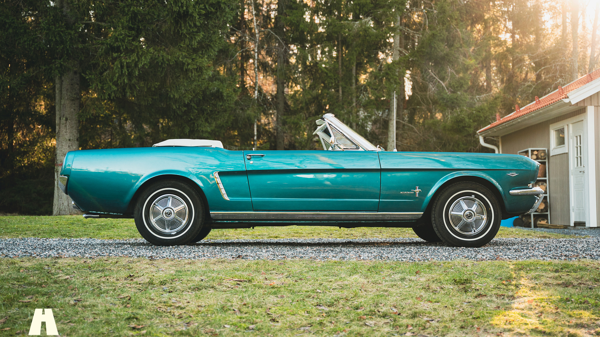 Aussenfoto 1965 Ford Mustang Cabriolet (9)