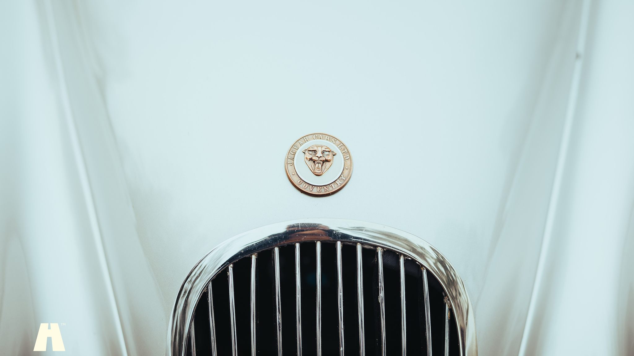 Exterior image of 1951 Jaguar XK120