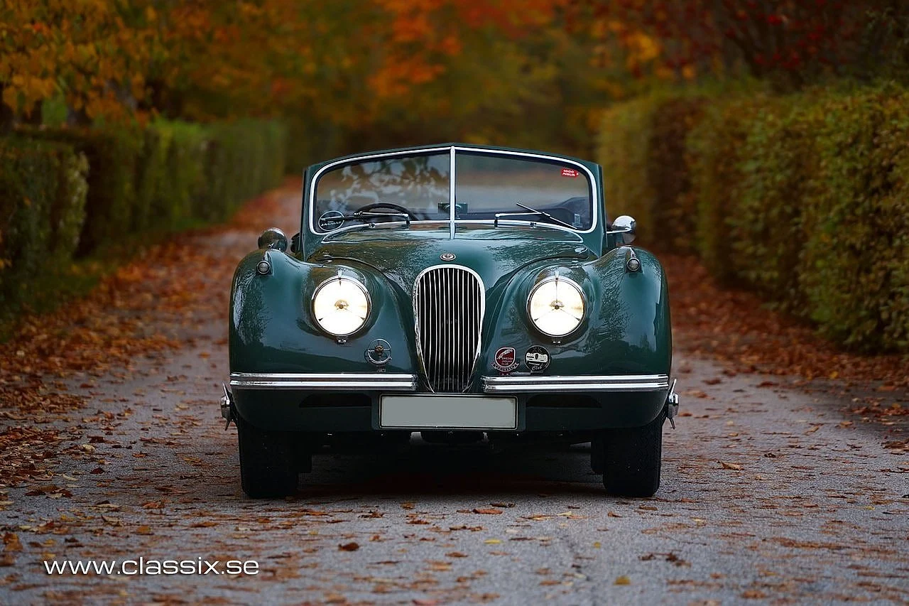 Bild von 1954 Jaguar XK120 (12)