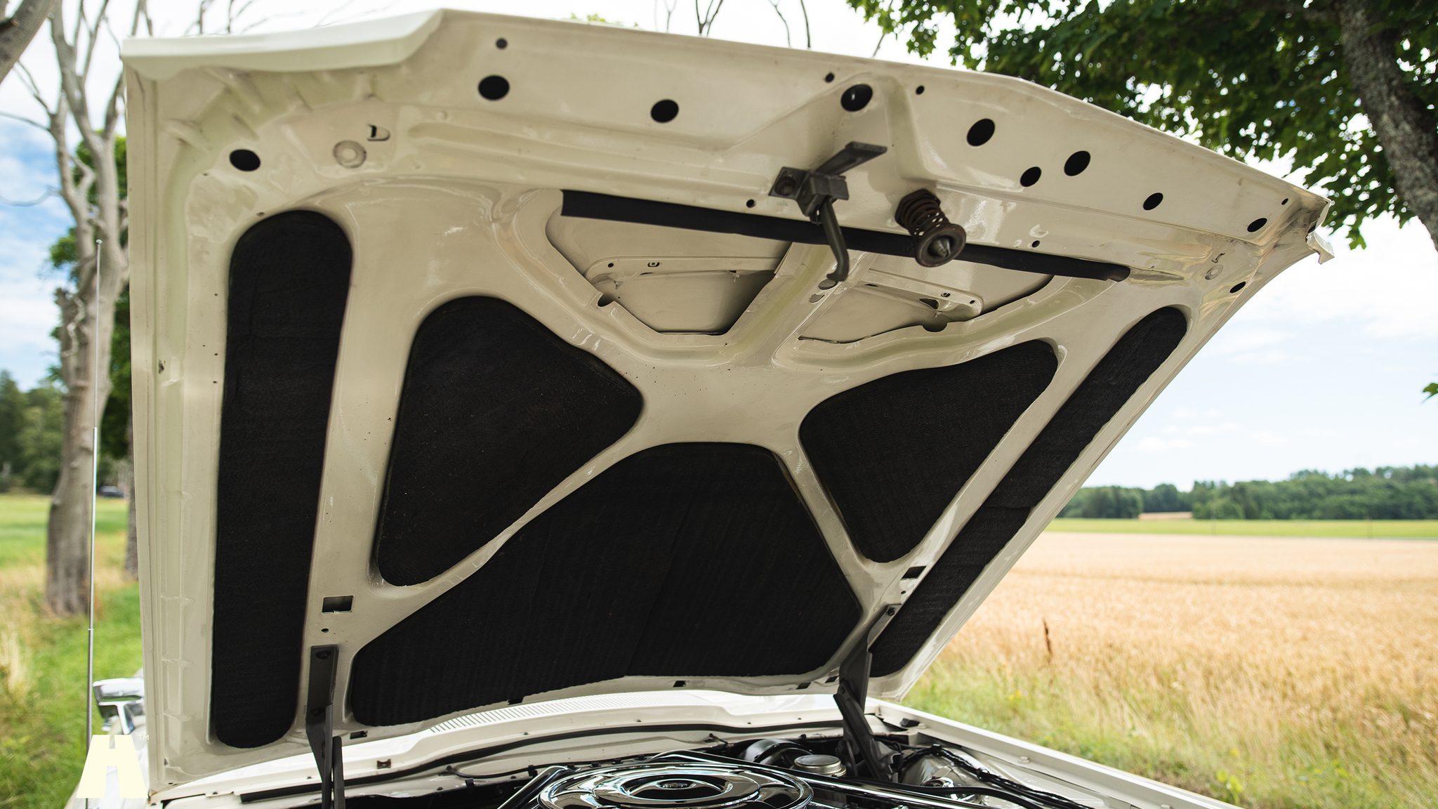 1965 Ford Thunderbird (35), Mekanik