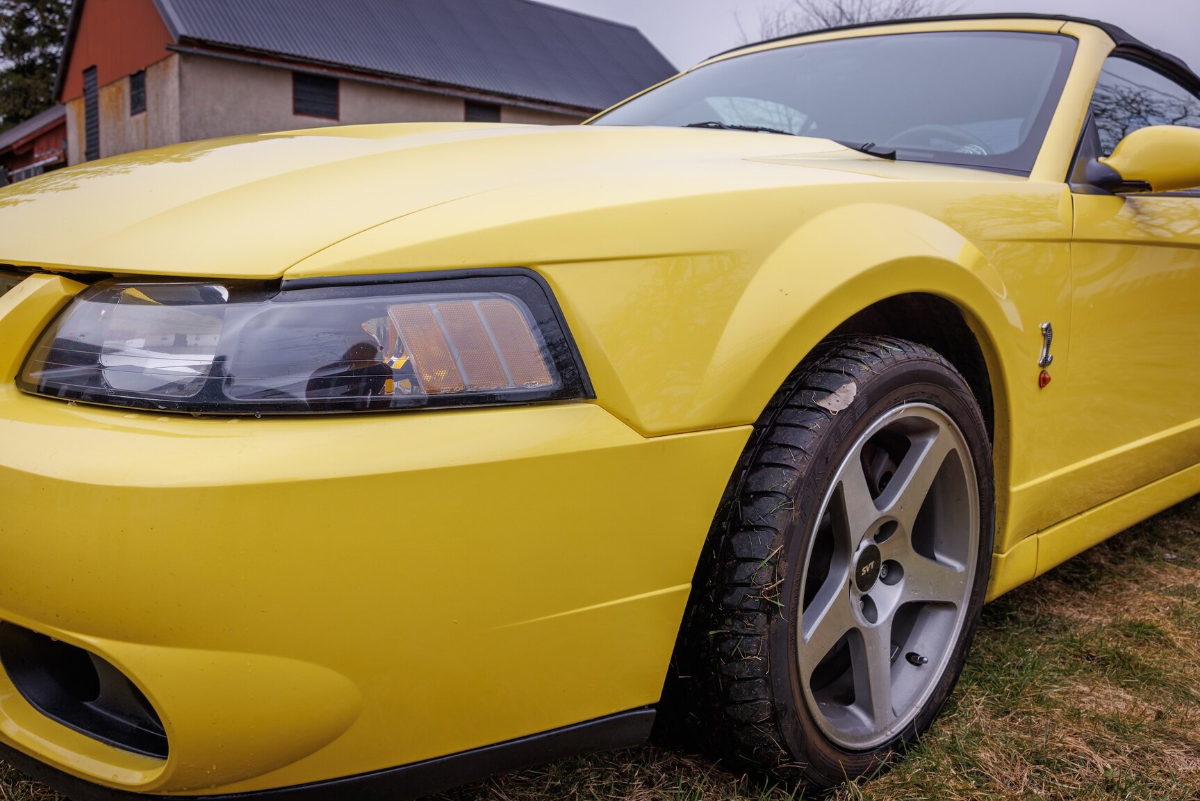 Aussenfoto 2003 Ford Mustang SVT Cobra