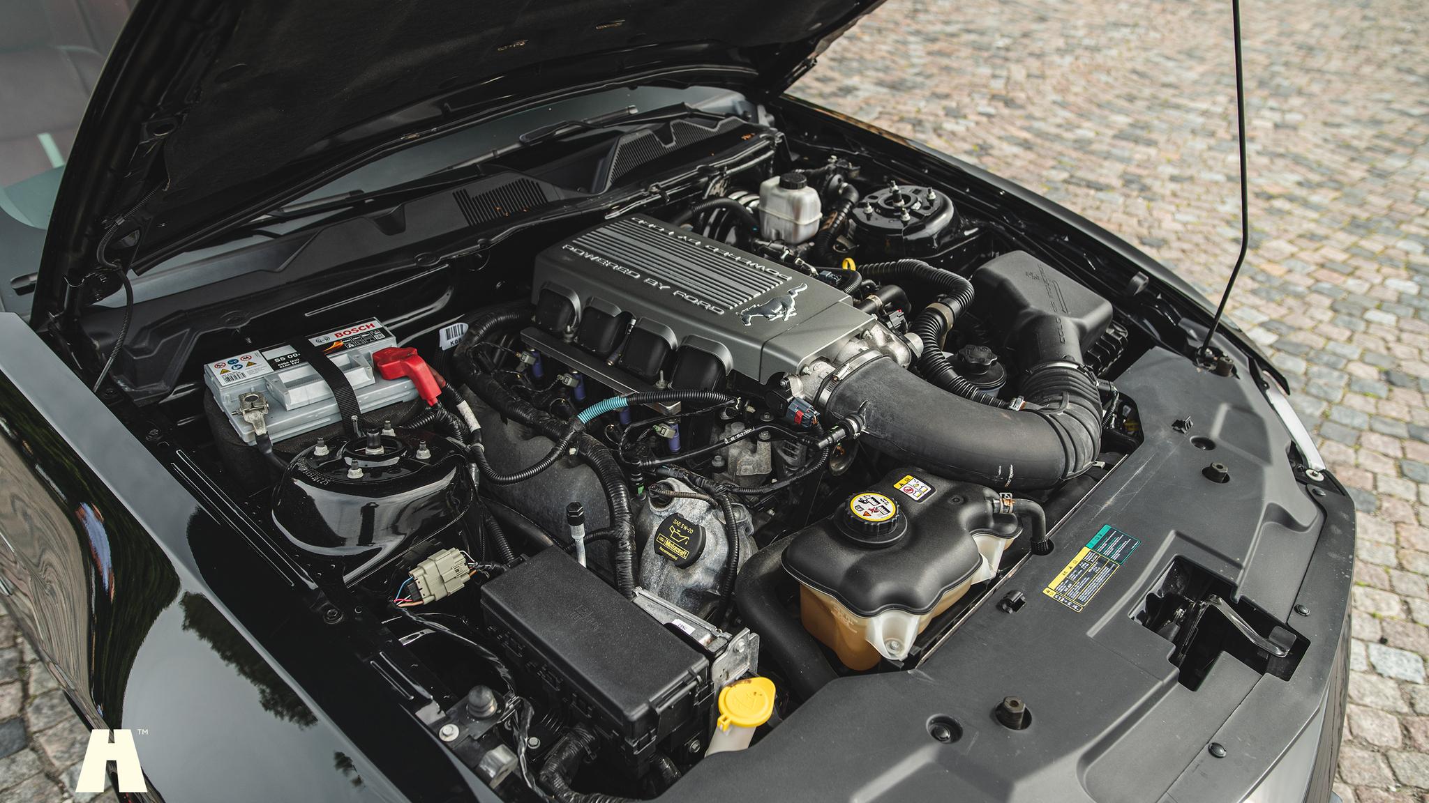 Image of 2010 Ford Mustang GT  mechanics