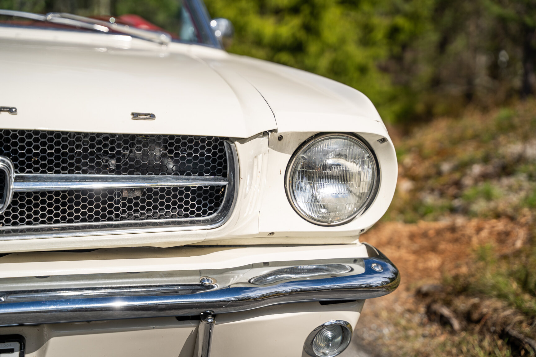 Aussenfoto 1965 Ford Mustang Cabriolet (25)