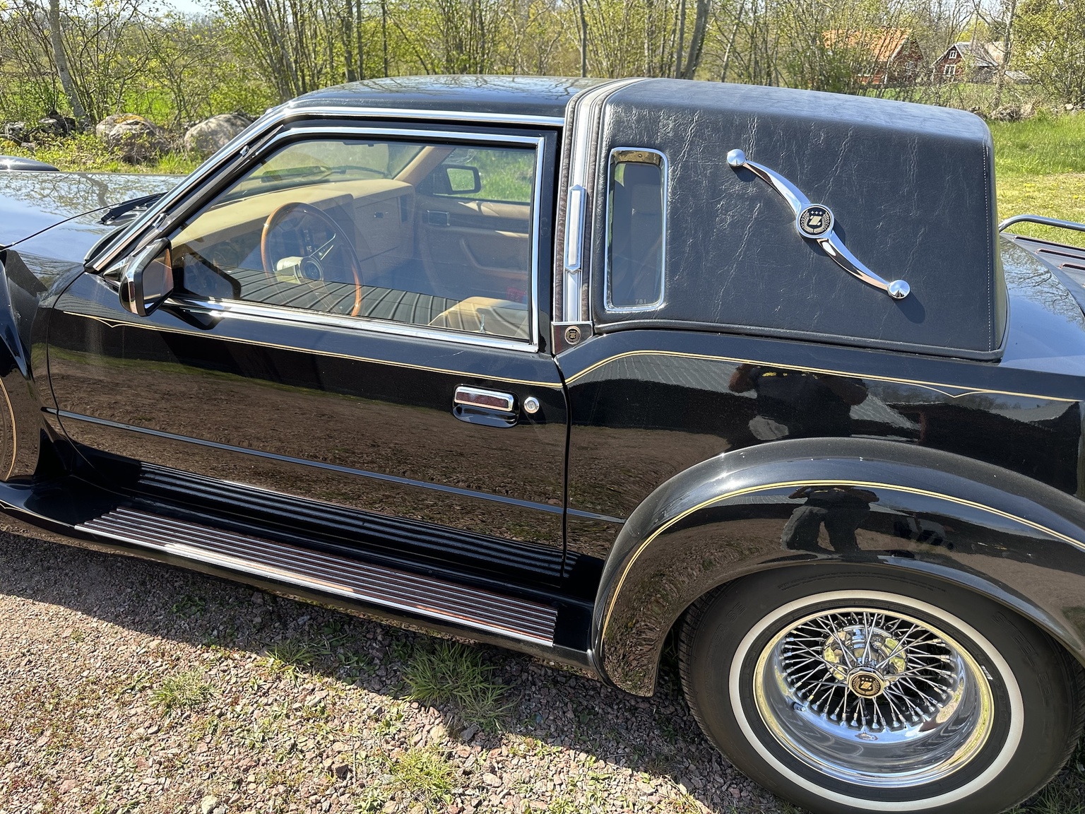 Exterior image of 1987 Zimmer Golden Spirit 5.0