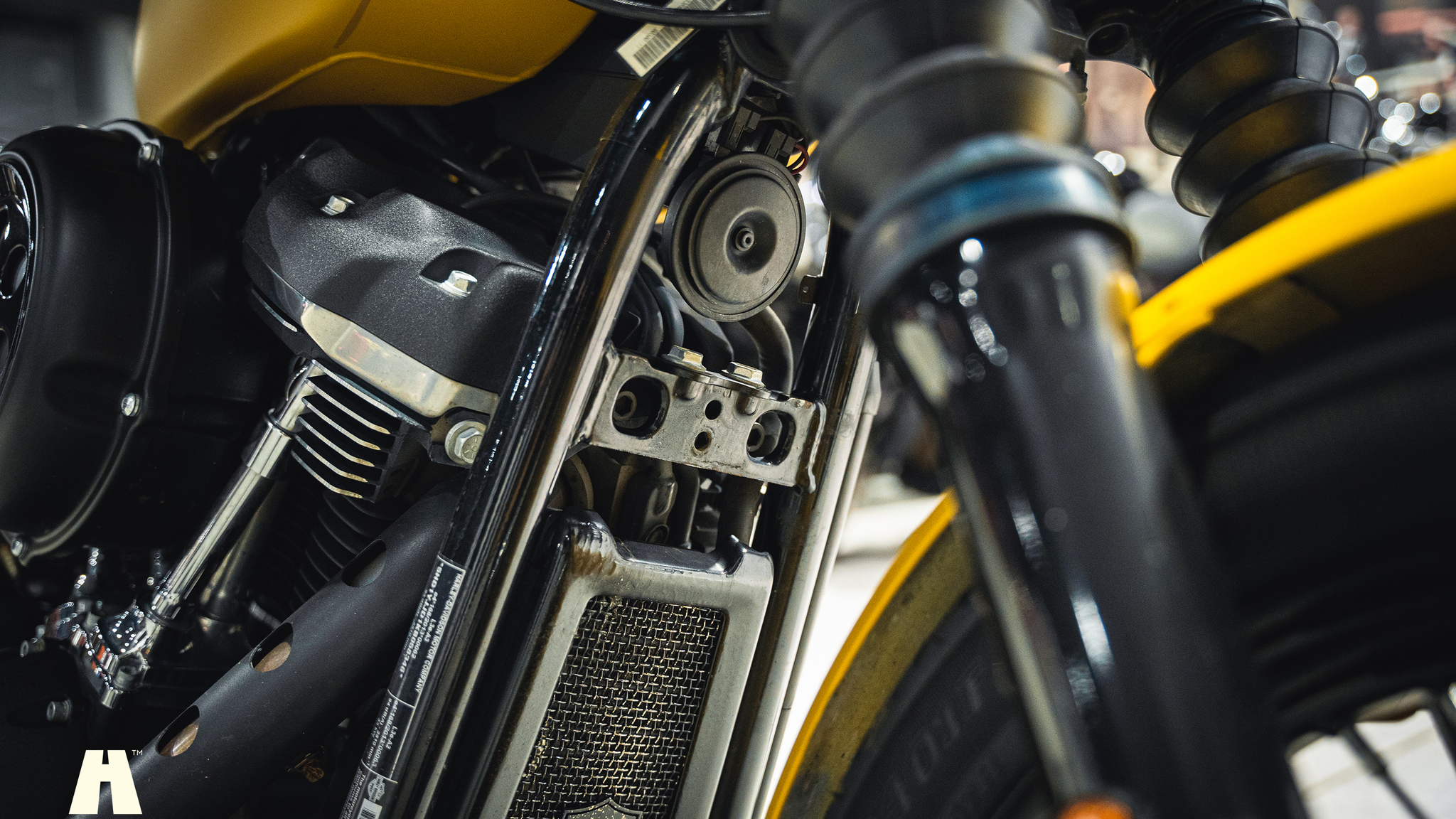 Image of 2019 Harley-Davidson Street BOB mechanics