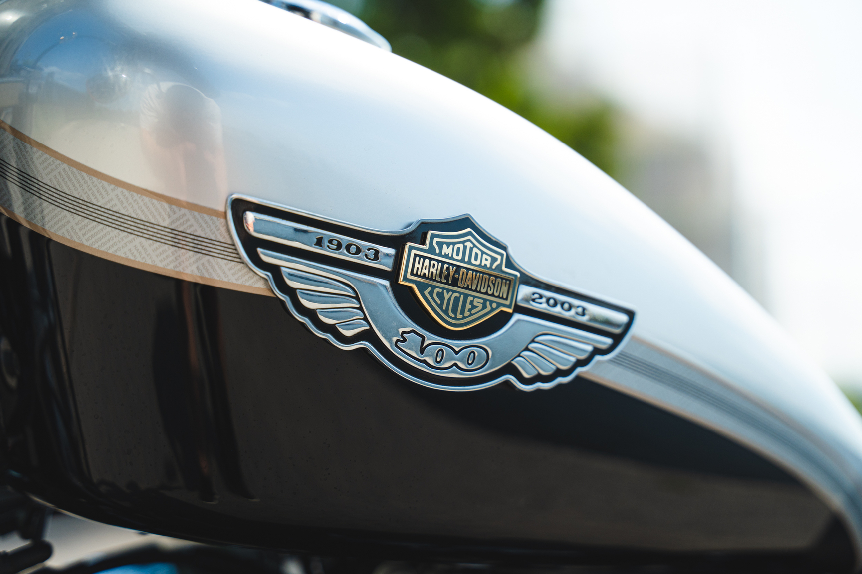 Exteriörbild på 2003 Harley Davidson Sportster 1200 100th Anniversary (31)