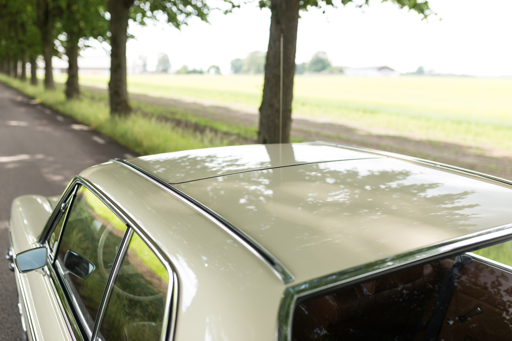 Aussenfoto 1971 Mercedes 250 C