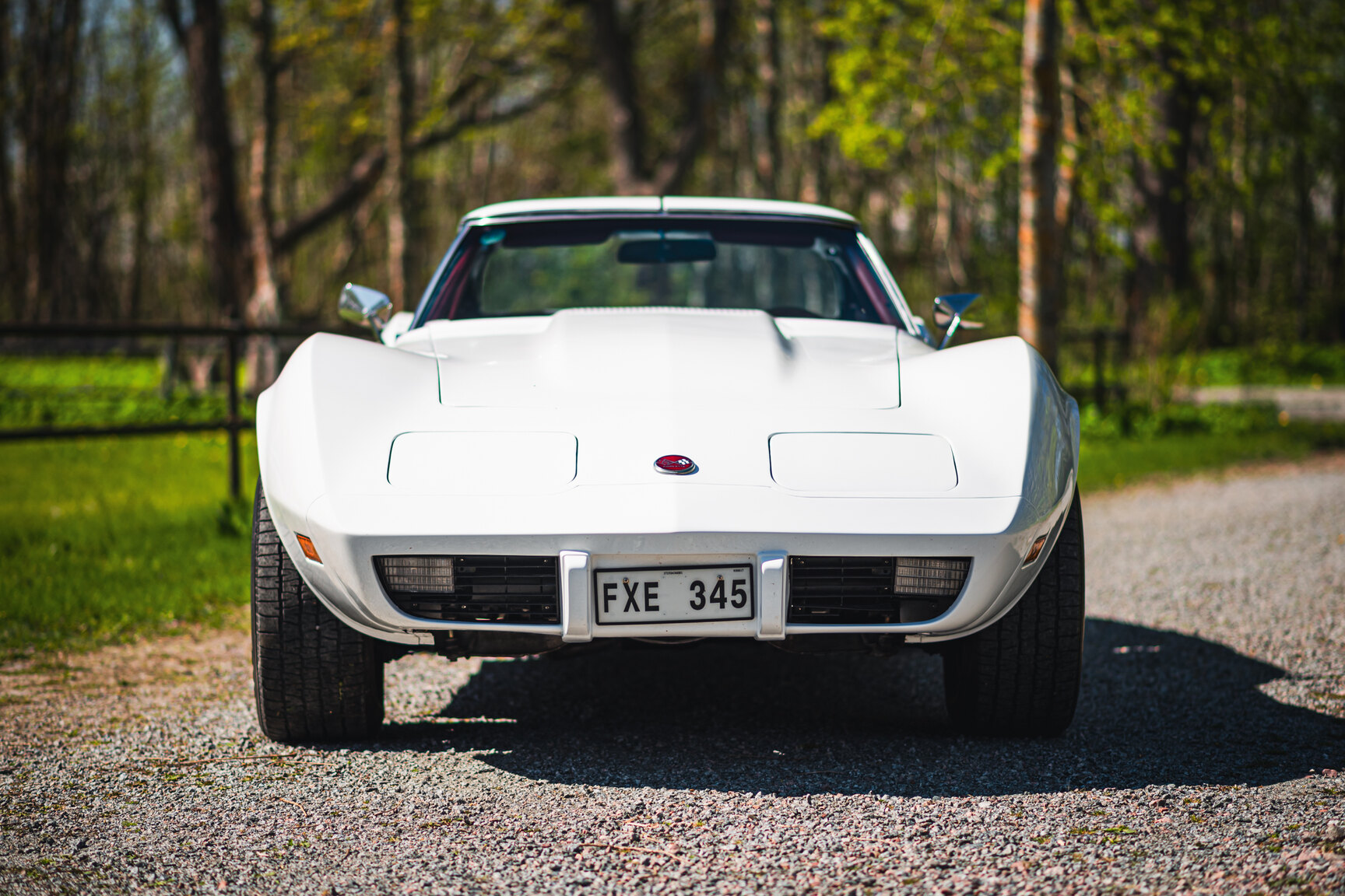 Exterior image of 1975 Chevrolet Corvette Stingray (8)