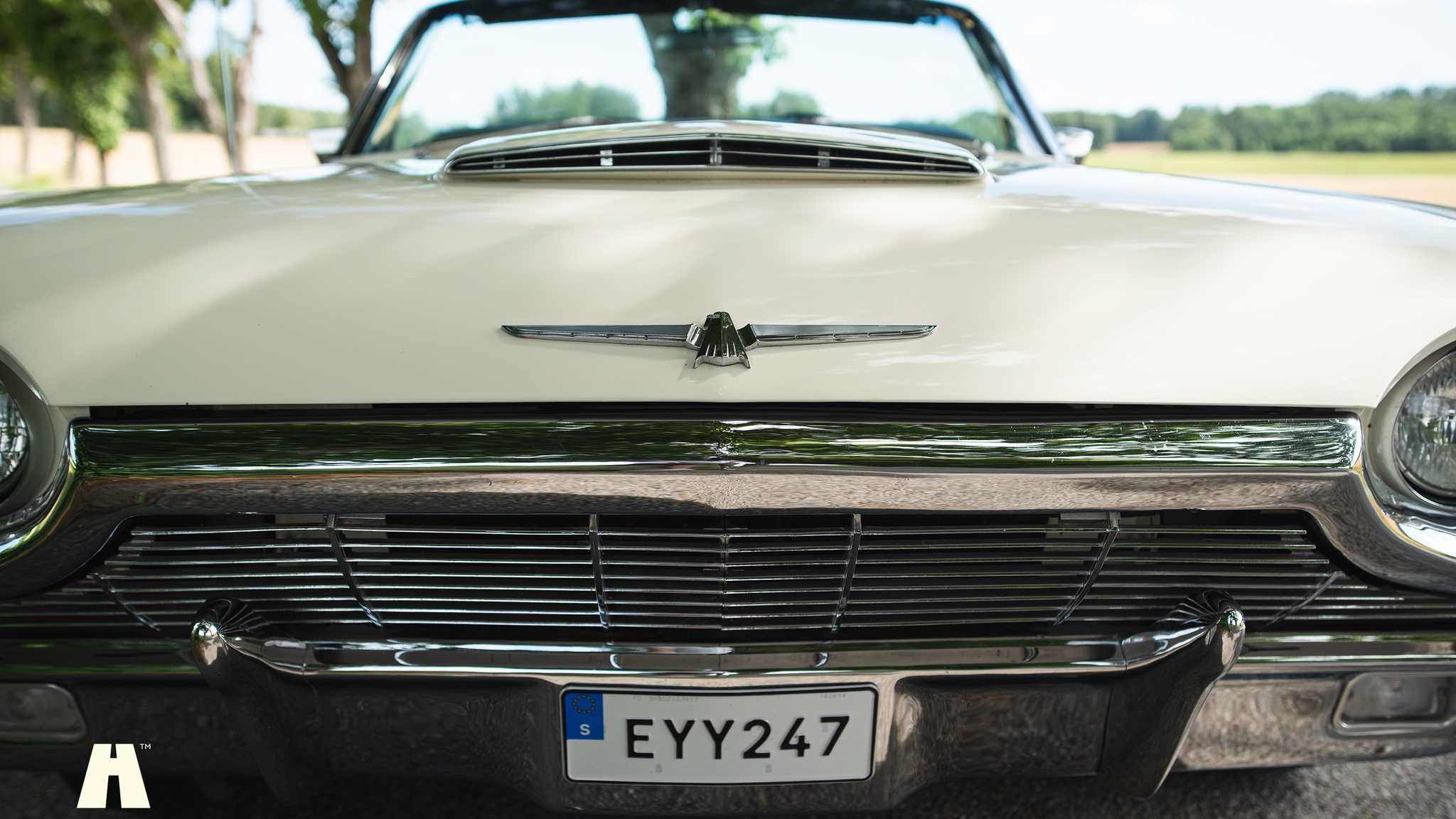 Aussenfoto 1965 Ford Thunderbird (17)