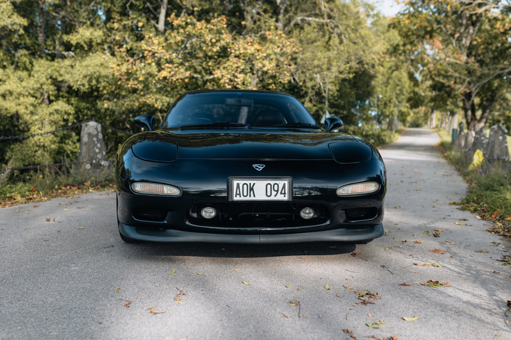 Exterior image of 1994 Mazda RX7 (21)
