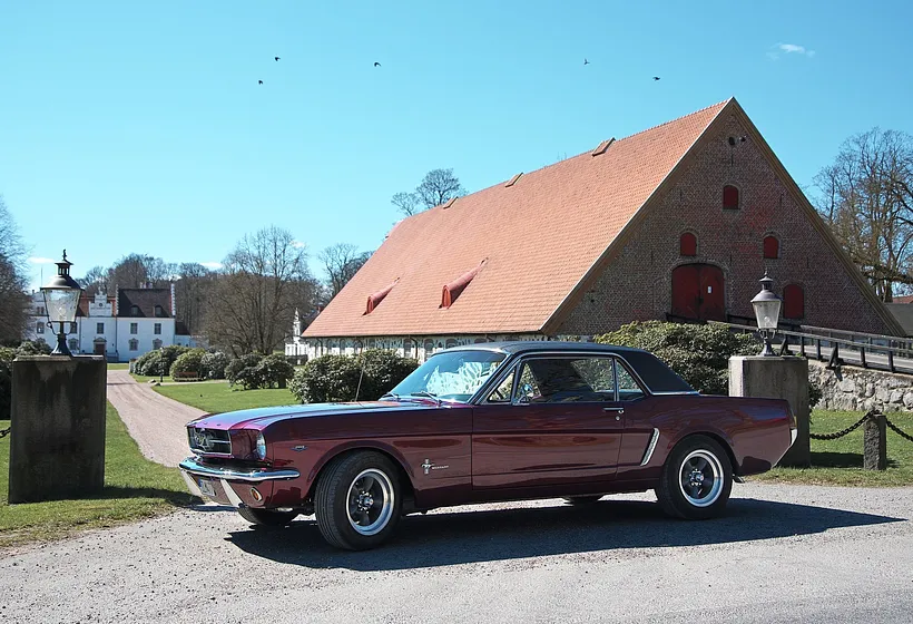 1965 Ford Mustang HT 289cui