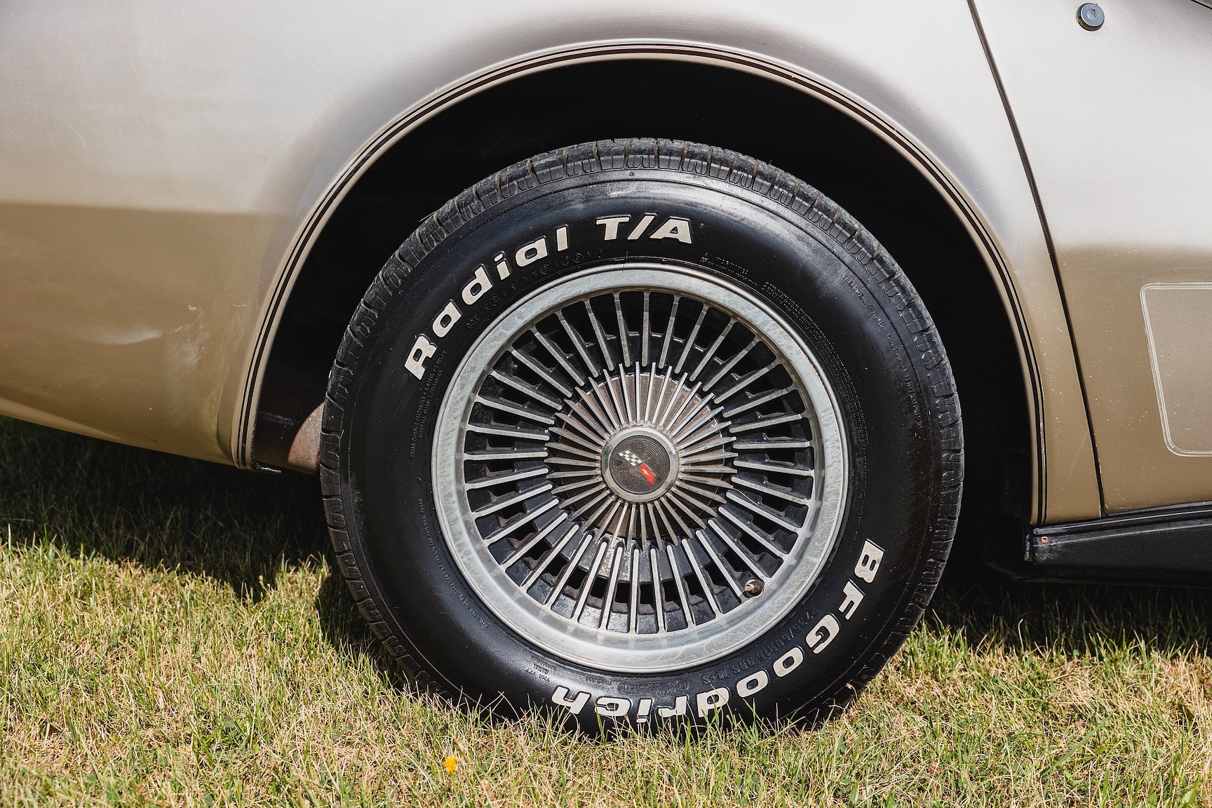 Exterior image of 1982 Chevrolet Corvette Collector Edition