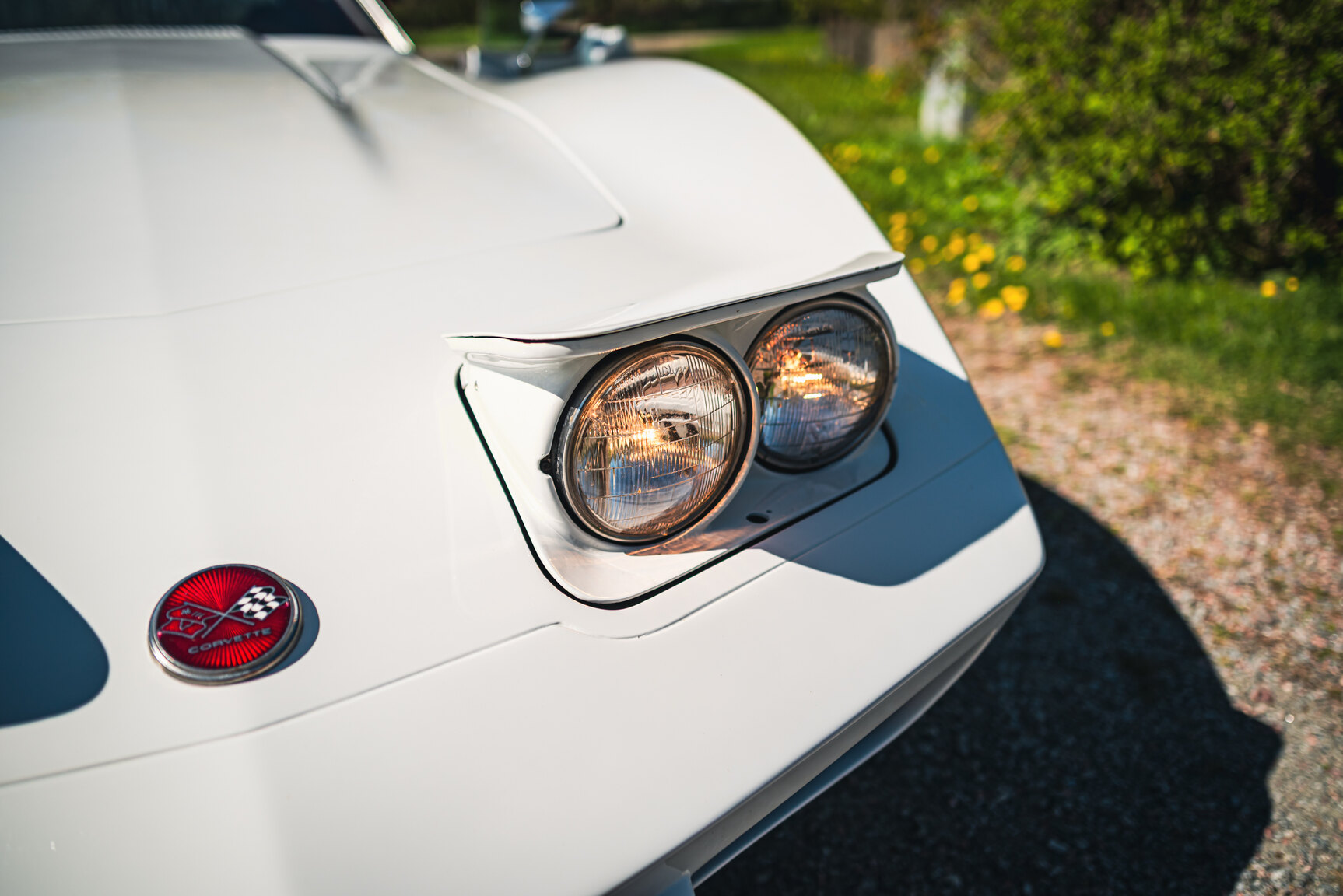 Exterior image of 1975 Chevrolet Corvette Stingray (20)