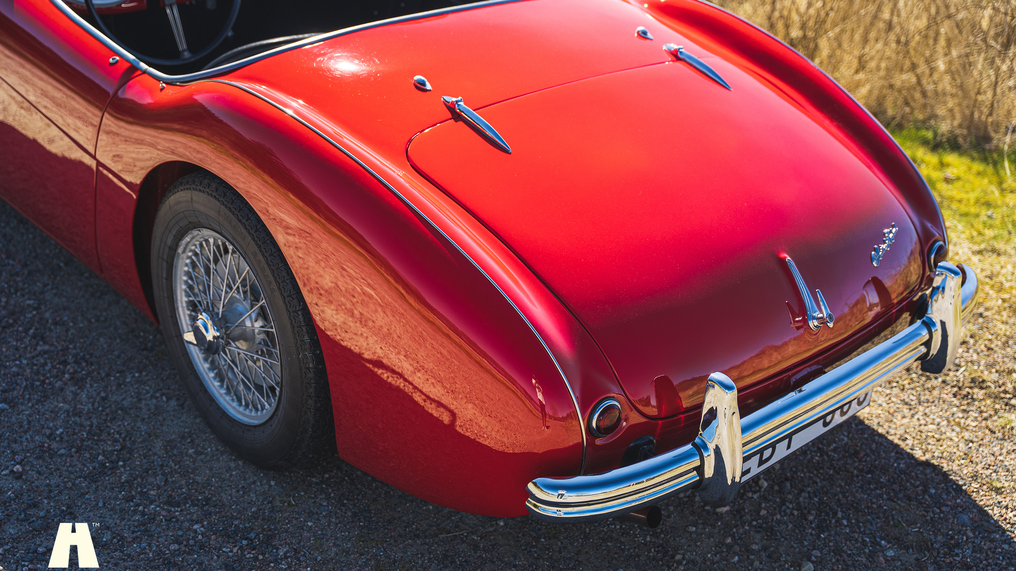 Exteriörbild på 1954 Austin Healey 100 BN1 (23)