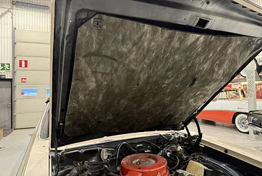 #<Image:0x00007fb770502d08>