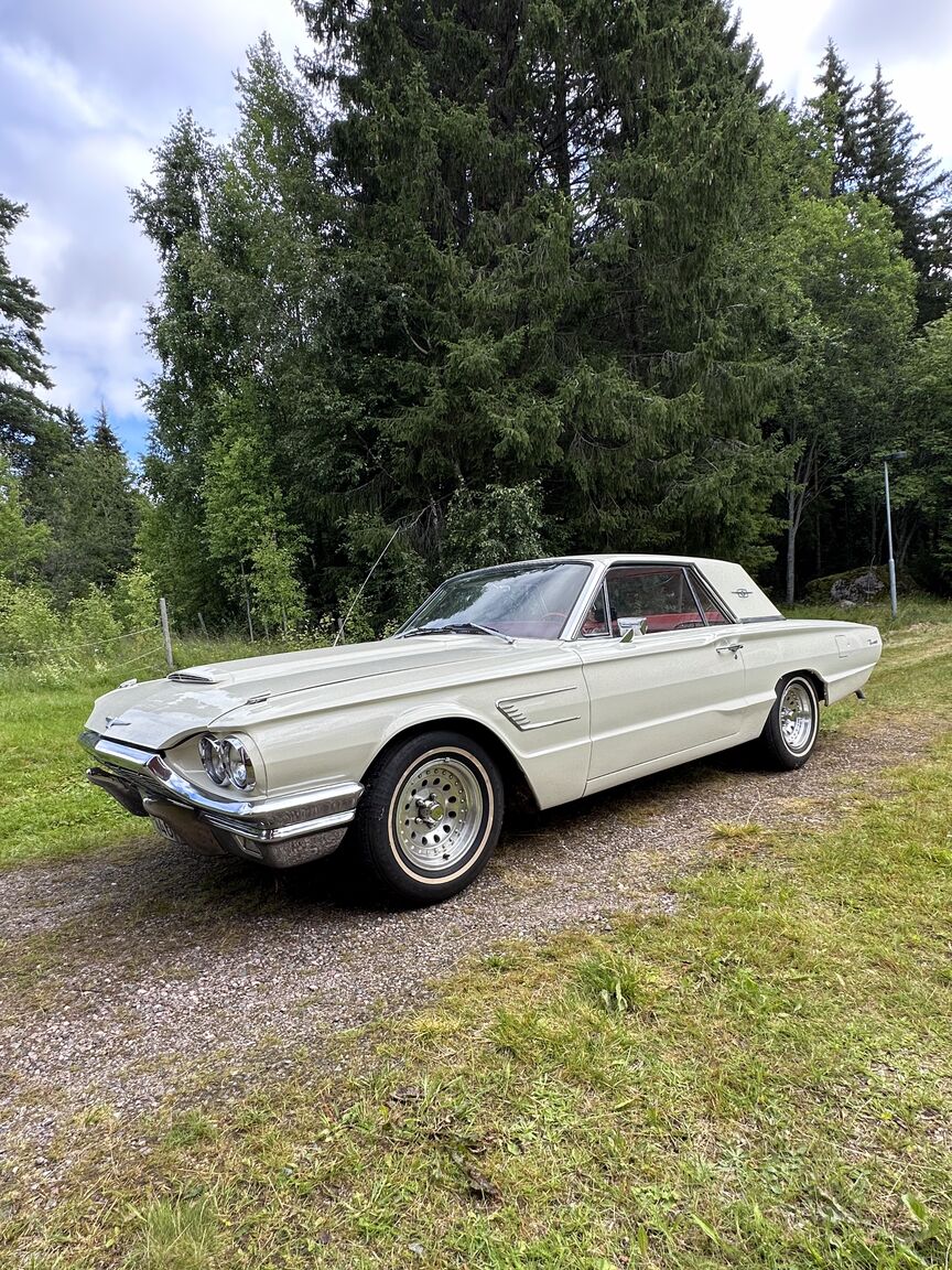 Aussenfoto 1965 Ford Thunderbird Hardtop 6.4 (2)