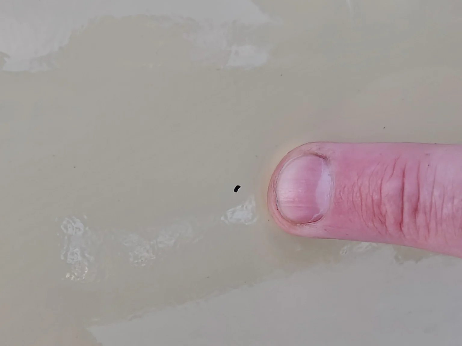 Exterior image of 1957 Dodge Royal (86)