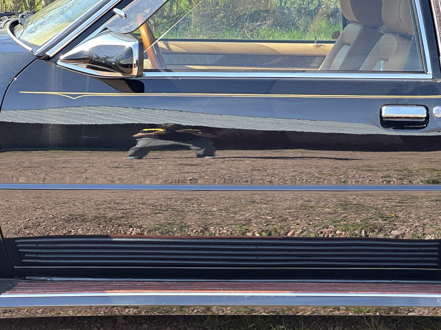 Exterior image of 1987 Zimmer Golden Spirit 5.0