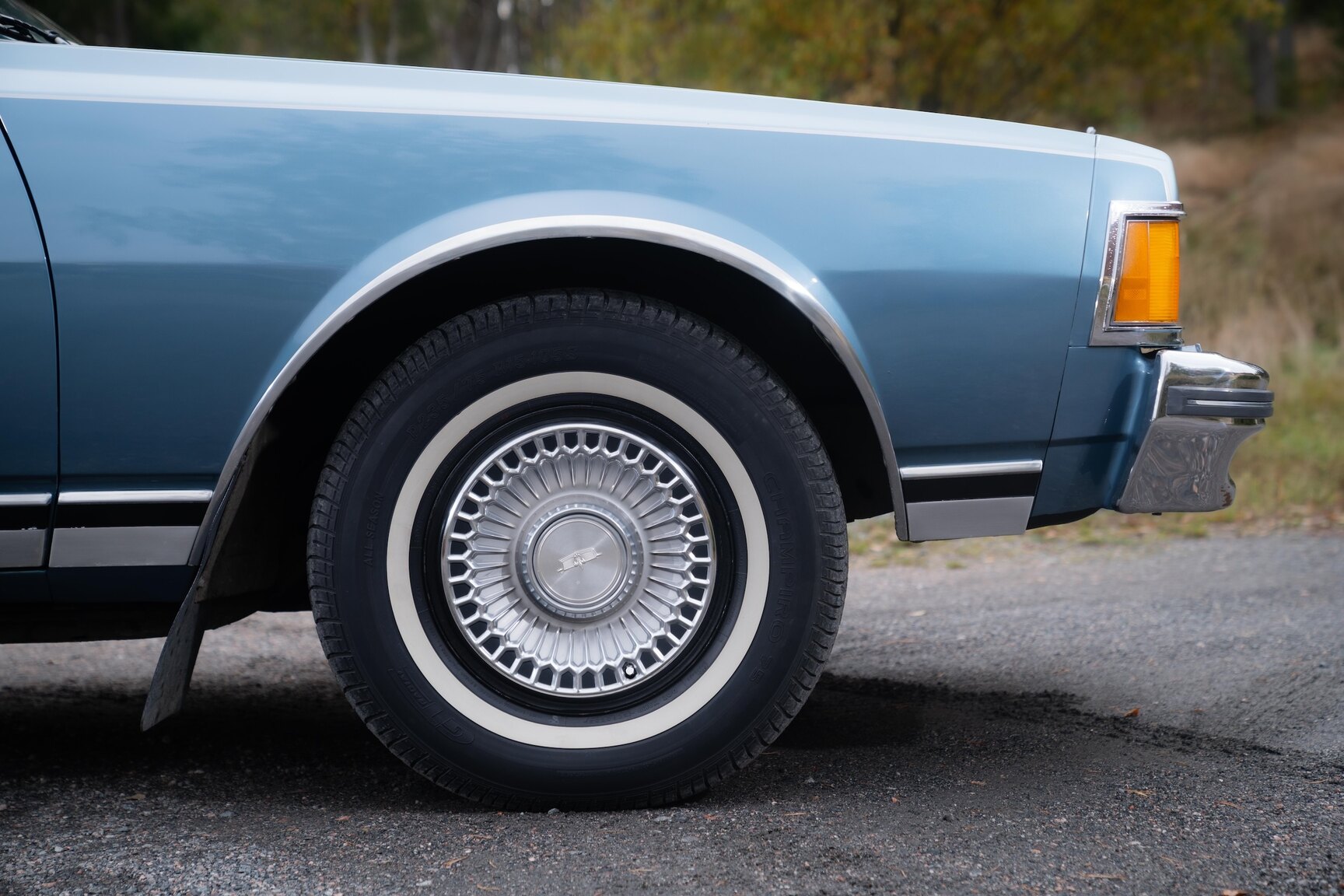 Exterior image of 1977 Chevrolet Caprice Classic