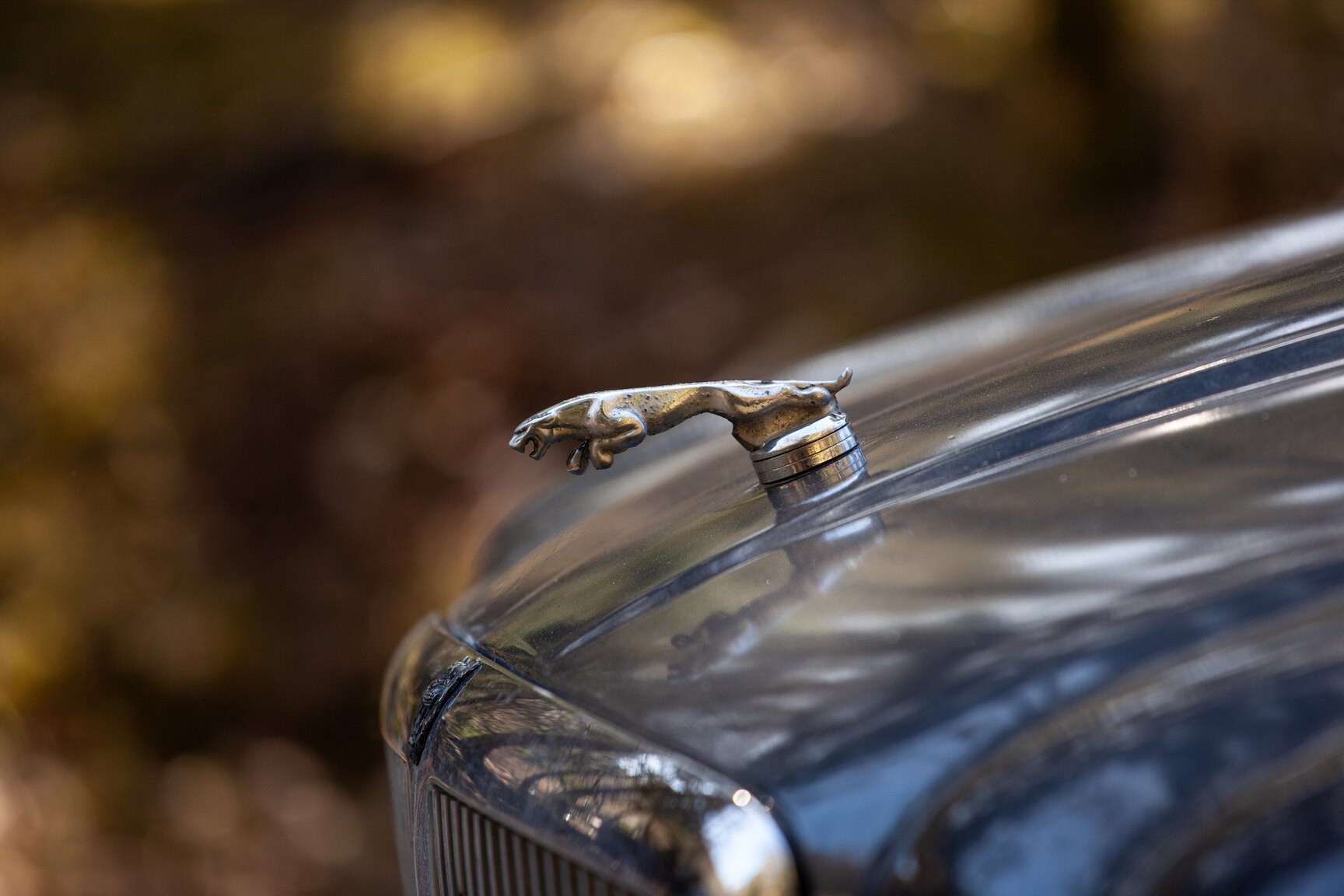 Exterior image of 1997 Jaguar XJ6 3.2