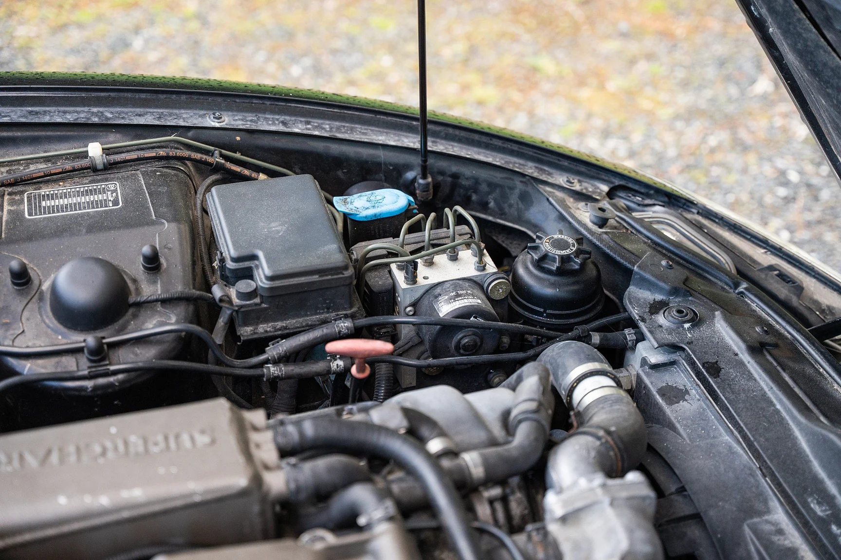 Image of 1999 Jaguar XKR - NO RESERVE mechanics (10)