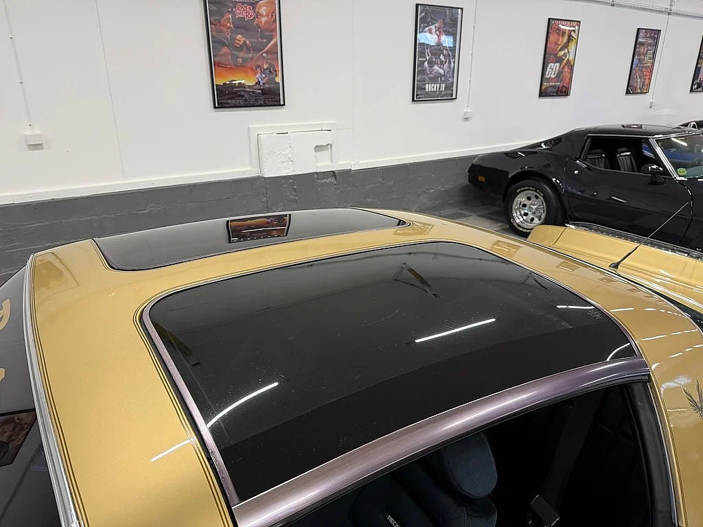 Bild von 1979 Pontiac Firebird (22)