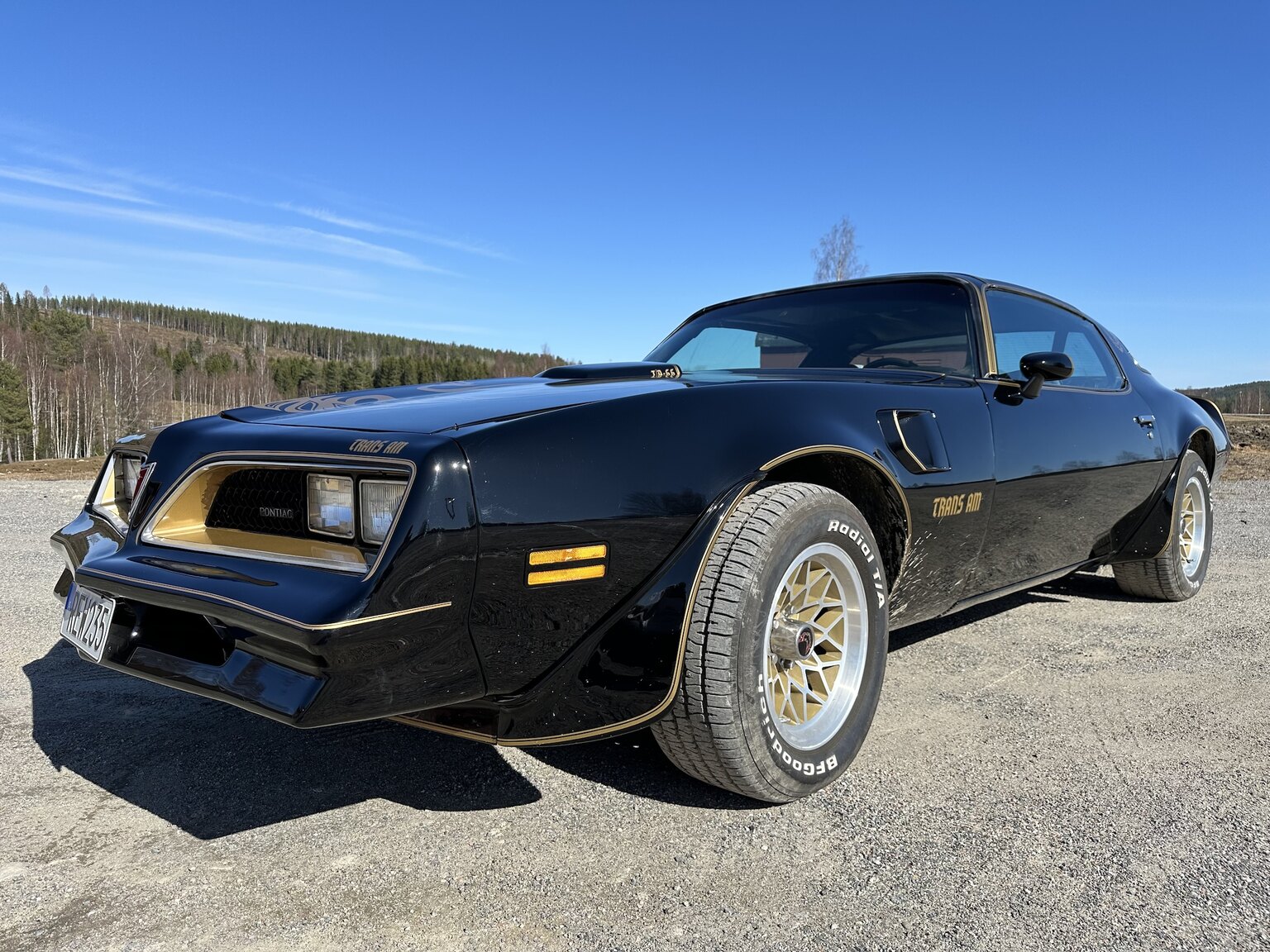 Exterior image of 1978 Pontiac Trans Am Bandit 400