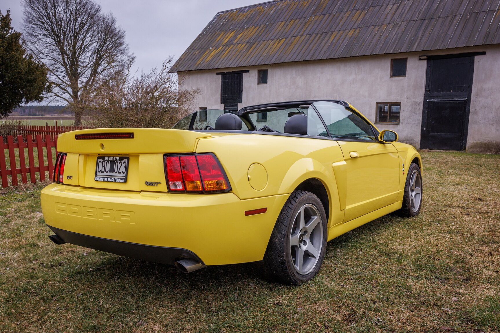 Exterior image of 2003 Ford Mustang SVT Cobra