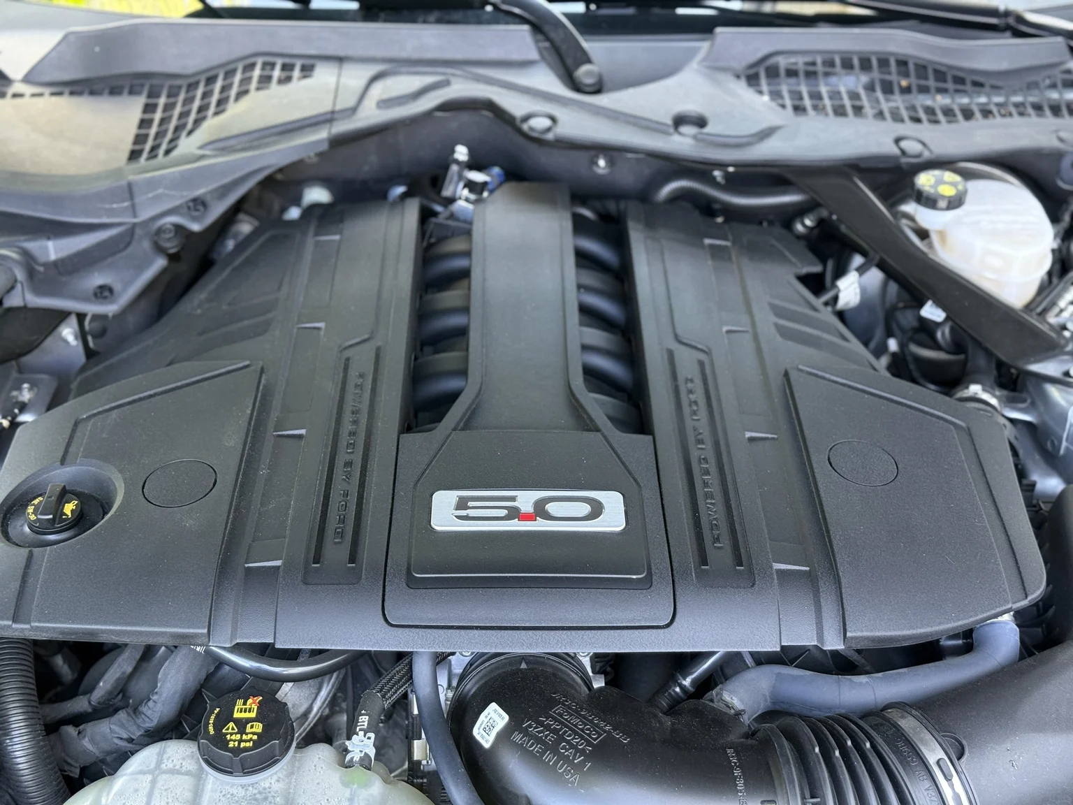 Image of 2021 Ford Mustang GT Cabriolet mechanics (1)