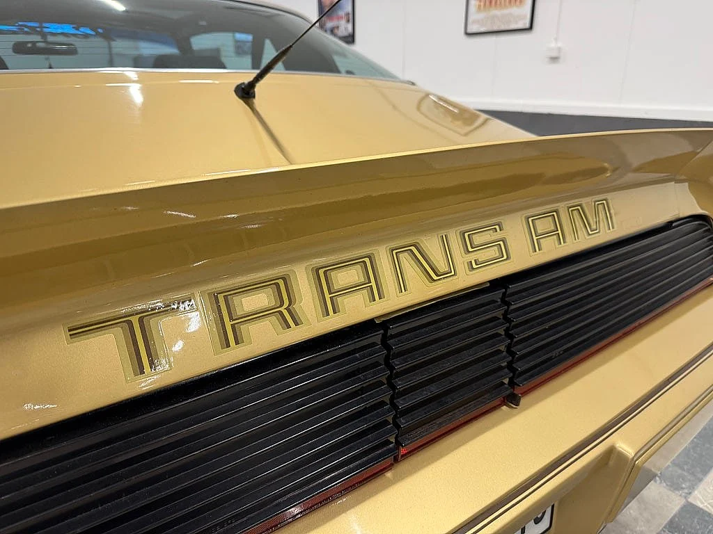 Bild von 1979 Pontiac Firebird (23)