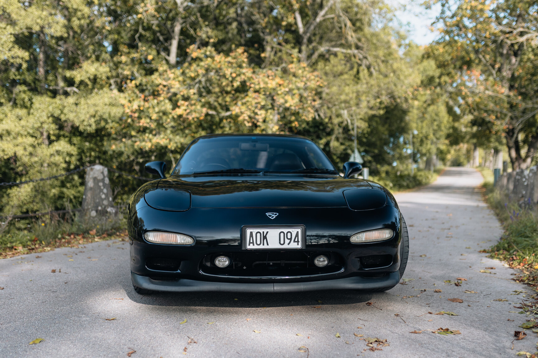 Exterior image of 1994 Mazda RX7 (6)