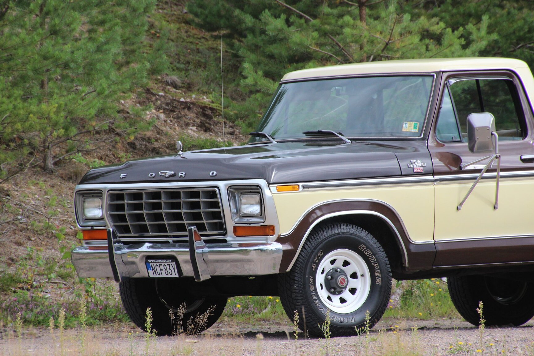 Exterior image of 1978 Ford F100 (F150)