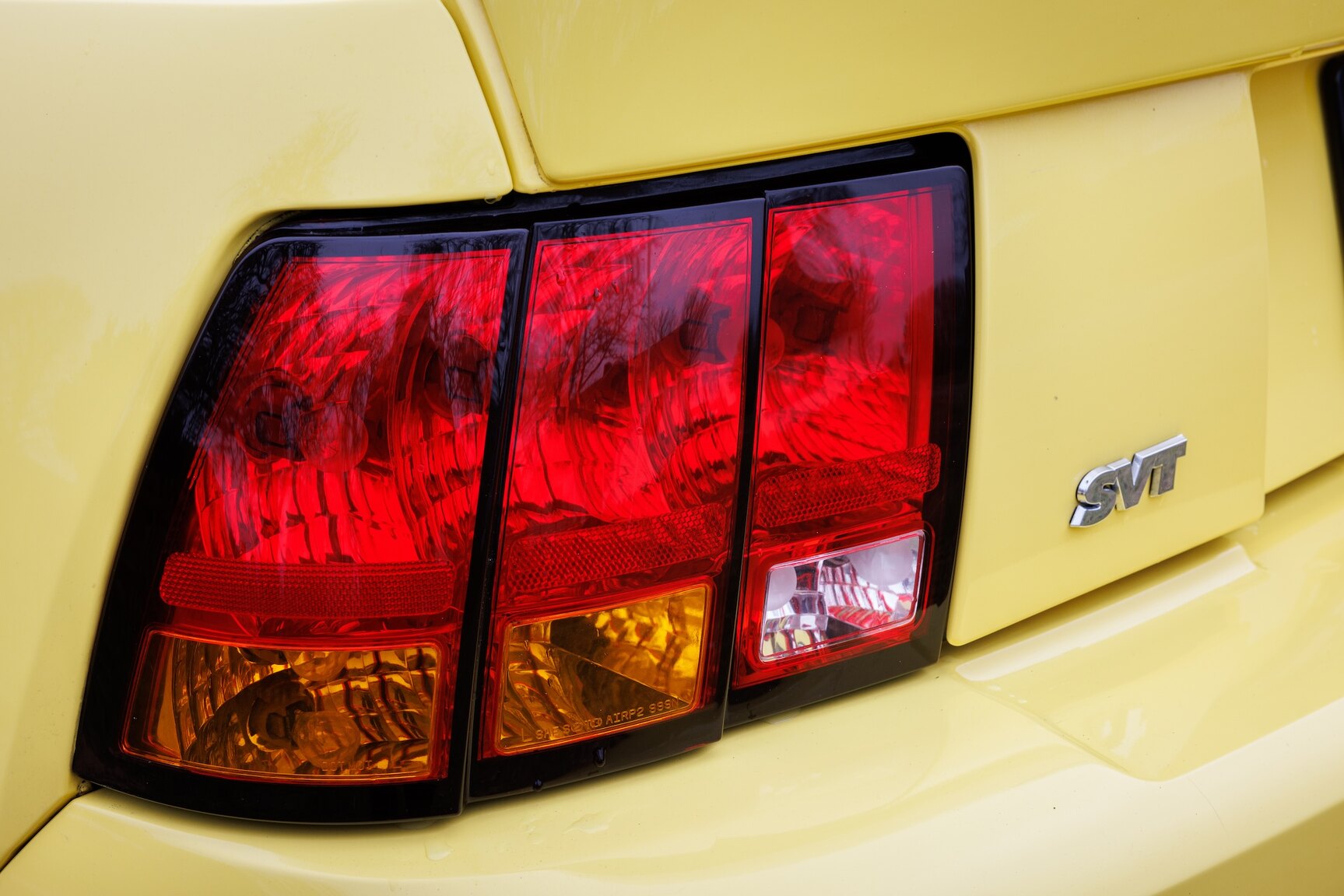 Exterior image of 2003 Ford Mustang SVT Cobra