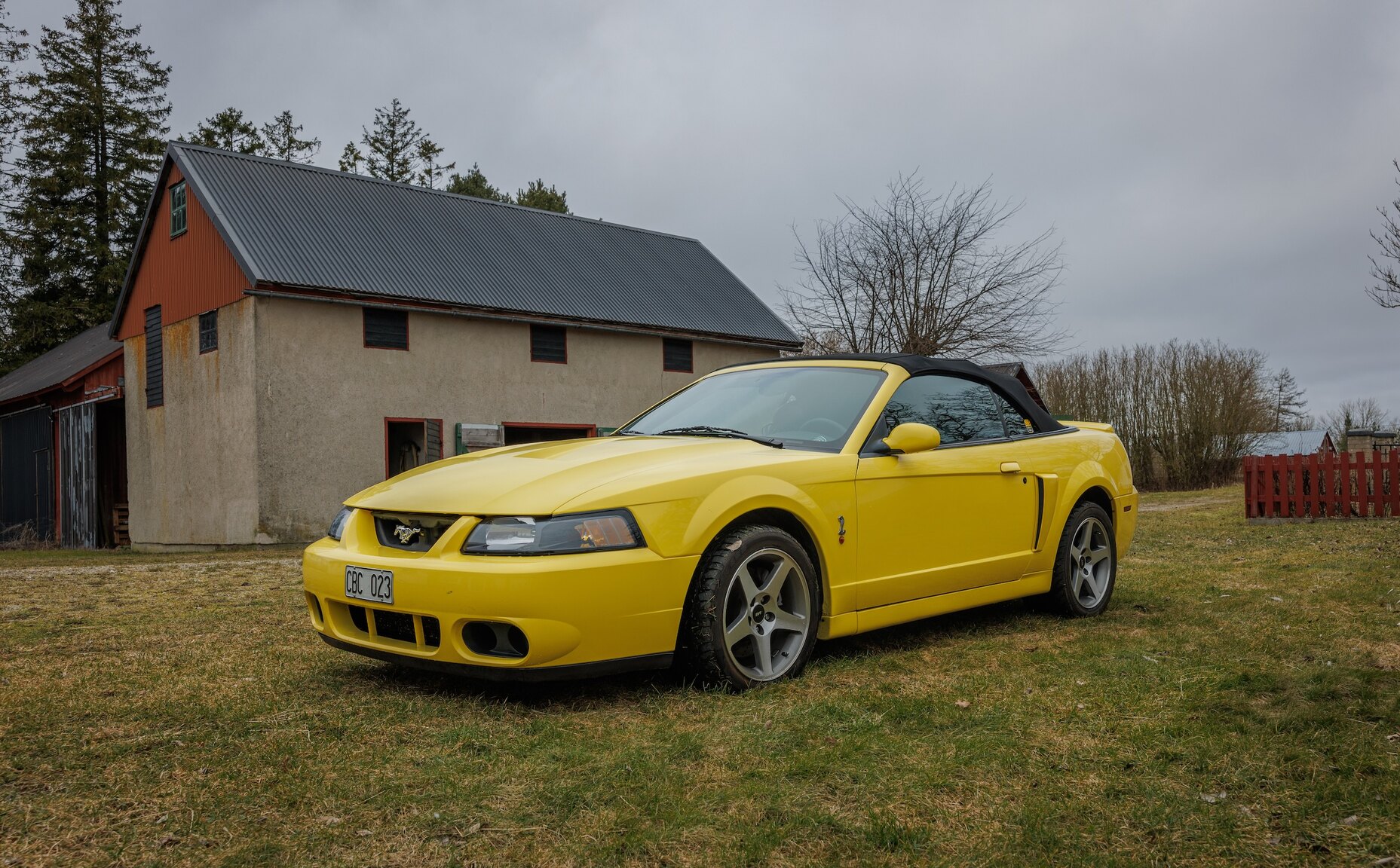 Exterior image of 2003 Ford Mustang SVT Cobra