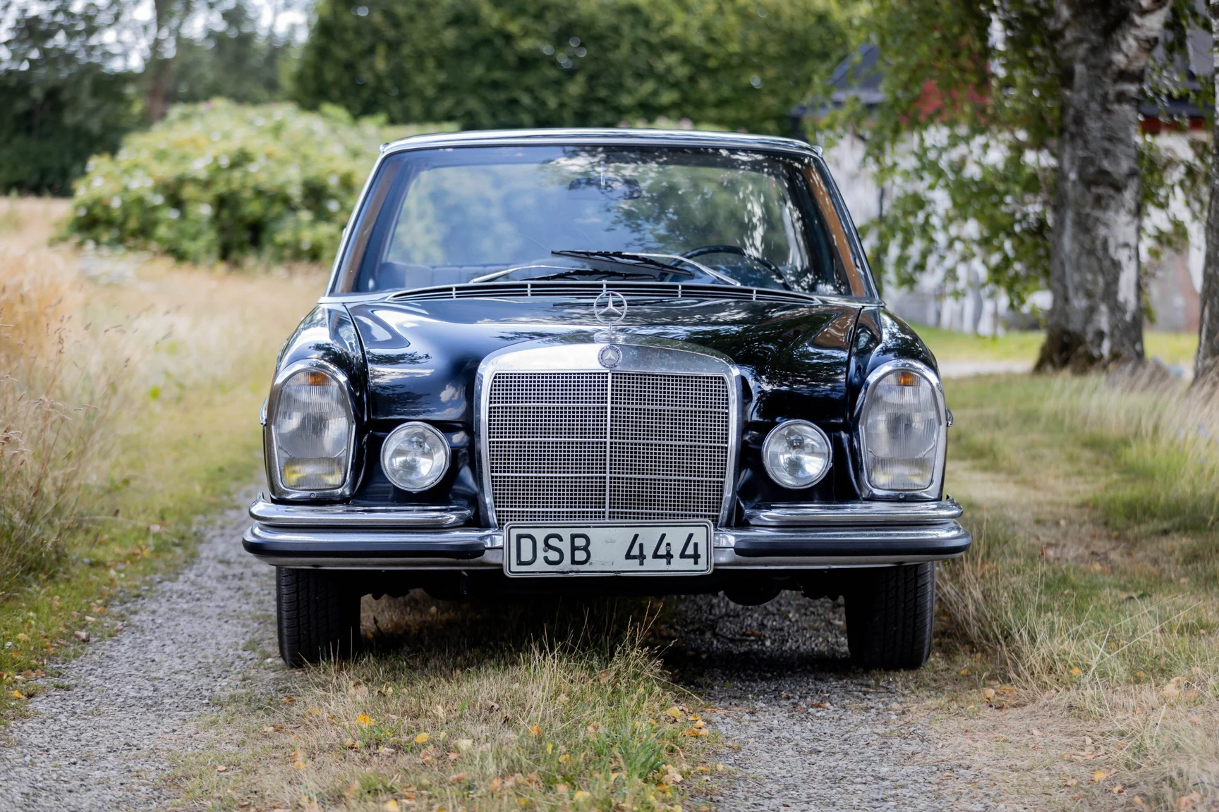 Exterior image of 1967 Mercedes-Benz 250 S 250 s (5)