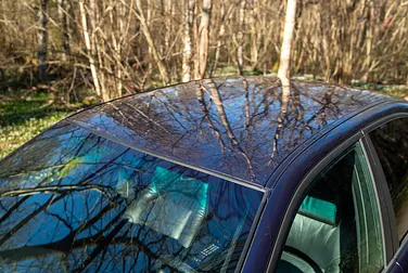 #<Image:0x00007fe42bfa89a0>