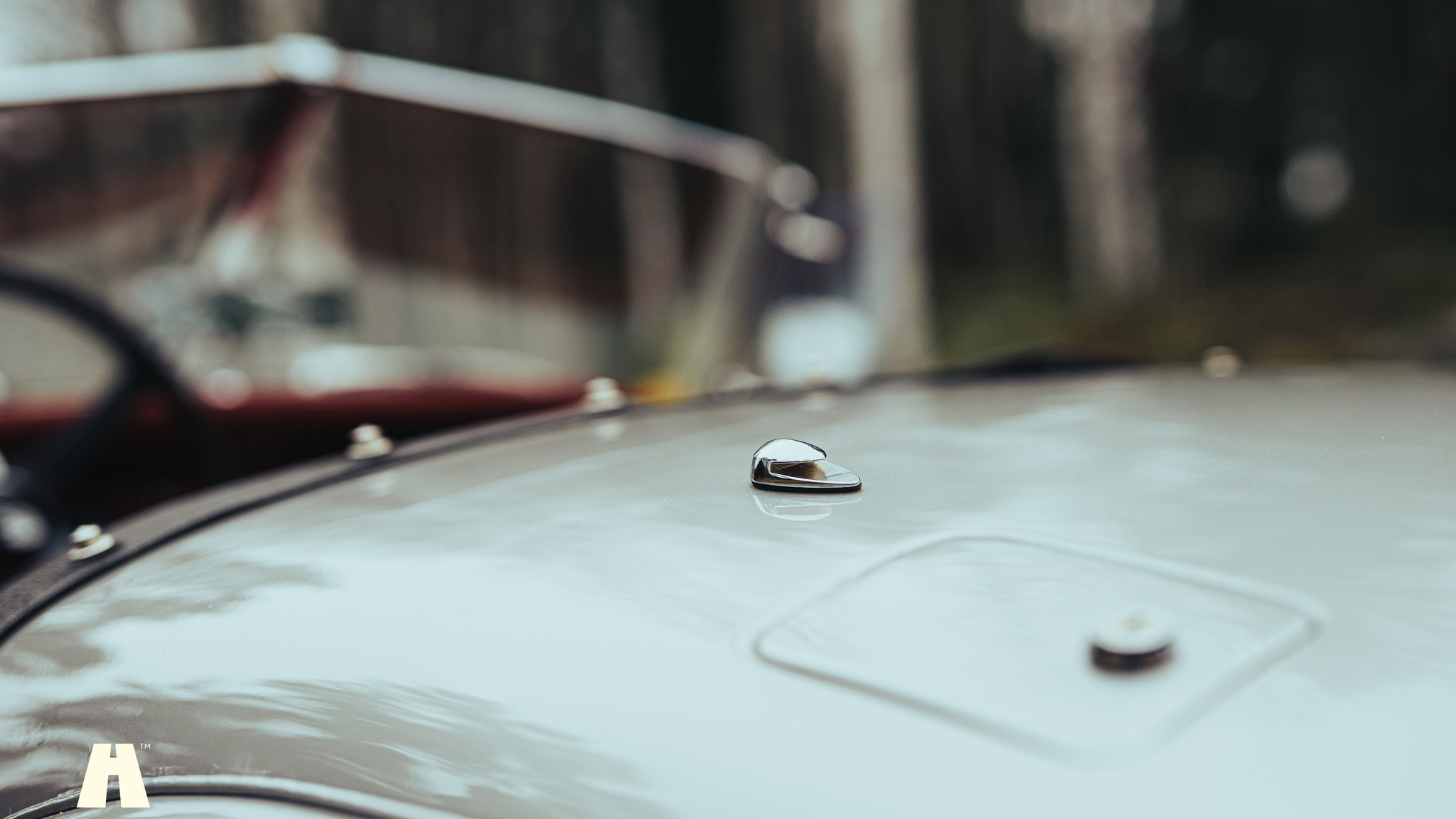 Exterior image of 1951 Jaguar XK120