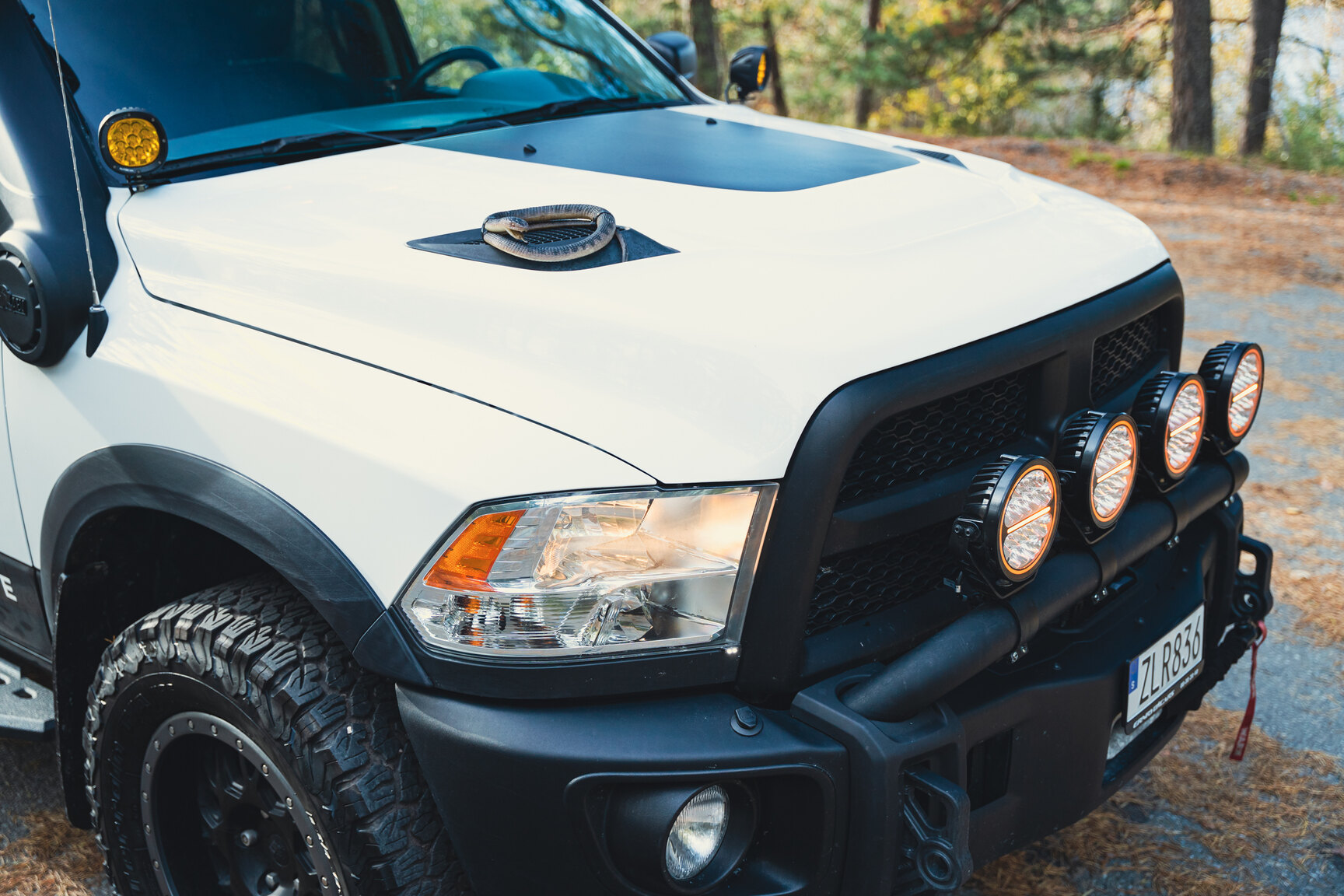 Exterior image of 2017 Dodge Ram 1500 AEV (36)