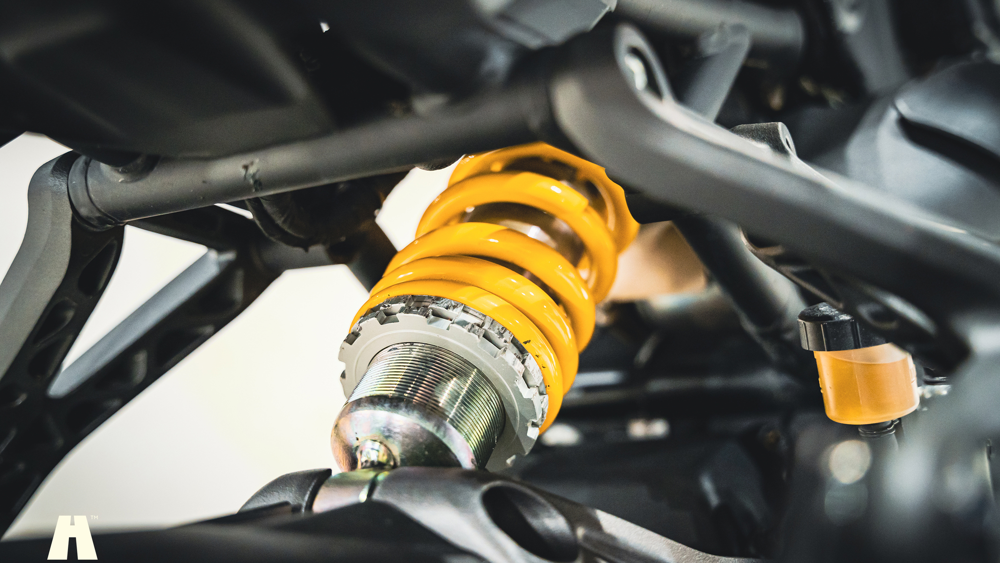 Image of 2018 Ducati Monster 821 mechanics