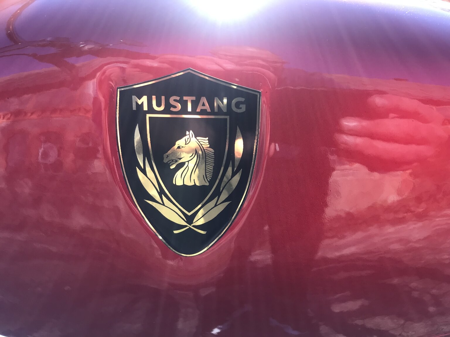 Exteriörbild på Mustang Cobra